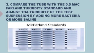 3. COMPARE THE TUBE WITH THE 0.5 MAC
FARLAND TURBIDITY STANDARD AND
ADJUST THA TURBIDITY OF THE TEST
SUSPENSION BY ADDING MORE BACTERIA
OR MORE SALINE
 