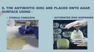 8. THE ANTIBIOTIC DISC ARE PLACED ONTO AGAR
SURFACE USING -
 STERILE FORECEPS • AUTOMATED DISC DISPENSER
 