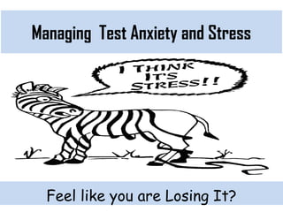 Monday, July 21, 2025 44
Managing Test Anxiety and Stress
Feel like you are Losing It?
 