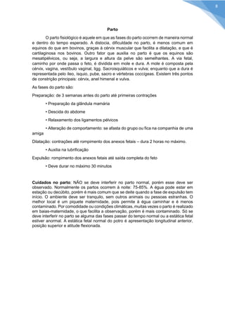 Parto 
O parto fisiológico é aquele em que as fases do parto ocorrem de maneira normal e dentro do tempo esperado. A distocia, dificuldade no parto, é menos comum em equinos do que em bovinos, graças à cérvix muscular que facilita a dilatação, e que é cartilaginosa nos bovinos. Outro fator que auxilia no parto é que os equinos são mesatipélvicos, ou seja, a largura e altura da pelve são semelhantes. A via fetal, caminho por onde passa o feto, é dividida em mole e dura. A mole é composta pela cérvix, vagina, vestíbulo vaginal, ligg. Sacroisquiáticos e vulva; enquanto que a dura é representada pelo íleo, ísquio, pube, sacro e vértebras coccígeas. Existem três pontos de constrição principais: cérvix, anel himenal e vulva. 
As fases do parto são: 
Preparação: de 3 semanas antes do parto até primeiras contrações 
• Preparação da glândula mamária 
• Descida do abdome 
• Relaxamento dos ligamentos pélvicos 
• Alteração de comportamento: se afasta do grupo ou fica na companhia de uma amiga 
Dilatação: contrações até rompimento dos anexos fetais – dura 2 horas no máximo. 
• Auxilia na lubrificação 
Expulsão: rompimento dos anexos fetais até saída completa do feto 
• Deve durar no máximo 30 minutos 
Cuidados no parto: NÃO se deve interferir no parto normal, porém esse deve ser observado. Normalmente os partos ocorrem à noite: 75-85%. A égua pode estar em estação ou decúbito, porém é mais comum que se deite quando a fase de expulsão tem início. O ambiente deve ser tranquilo, sem outros animais ou pessoas estranhas. O melhor local é um piquete maternidade, pois permite à égua caminhar e é menos contaminado. Por comodidade ou condições climáticas, muitas vezes o parto é realizado em baias-maternidade, o que facilita a observação, porém é mais contaminado. Só se deve interferir no parto se alguma das fases passar do tempo normal ou a estática fetal estiver anormal. A estática fetal normal do potro é apresentação longitudinal anterior, posição superior e atitude flexionada. 
8  
