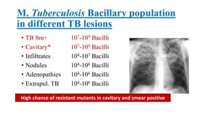 M. Tuberculosis Bacillary population
in different TB lesions
• TB Sm+ 107-109 Bacilli
• Cavitary* 107-109 Bacilli
• Infiltrates 104-107 Bacilli
• Nodules 104-106 Bacilli
• Adenopathies 104-106 Bacilli
• Extrapul. TB 104-106 Bacilli
High chance of resistant mutants in cavitary and smear positive
 