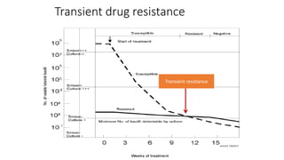 Transient drug resistance
Transient resistance
 