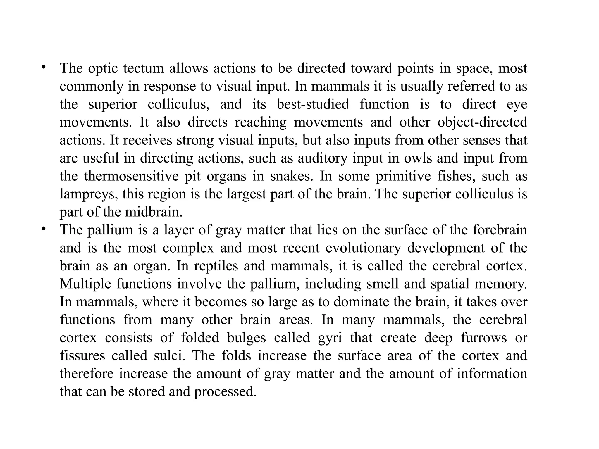 • The optic tectum allows actions to be directed toward points in space, most
commonly in response to visual input. In mammals it is usually referred to as
the superior colliculus, and its best-studied function is to direct eye
movements. It also directs reaching movements and other object-directed
actions. It receives strong visual inputs, but also inputs from other senses that
are useful in directing actions, such as auditory input in owls and input from
the thermosensitive pit organs in snakes. In some primitive fishes, such as
lampreys, this region is the largest part of the brain. The superior colliculus is
part of the midbrain.
• The pallium is a layer of gray matter that lies on the surface of the forebrain
and is the most complex and most recent evolutionary development of the
brain as an organ. In reptiles and mammals, it is called the cerebral cortex.
Multiple functions involve the pallium, including smell and spatial memory.
In mammals, where it becomes so large as to dominate the brain, it takes over
functions from many other brain areas. In many mammals, the cerebral
cortex consists of folded bulges called gyri that create deep furrows or
fissures called sulci. The folds increase the surface area of the cortex and
therefore increase the amount of gray matter and the amount of information
that can be stored and processed.
 
