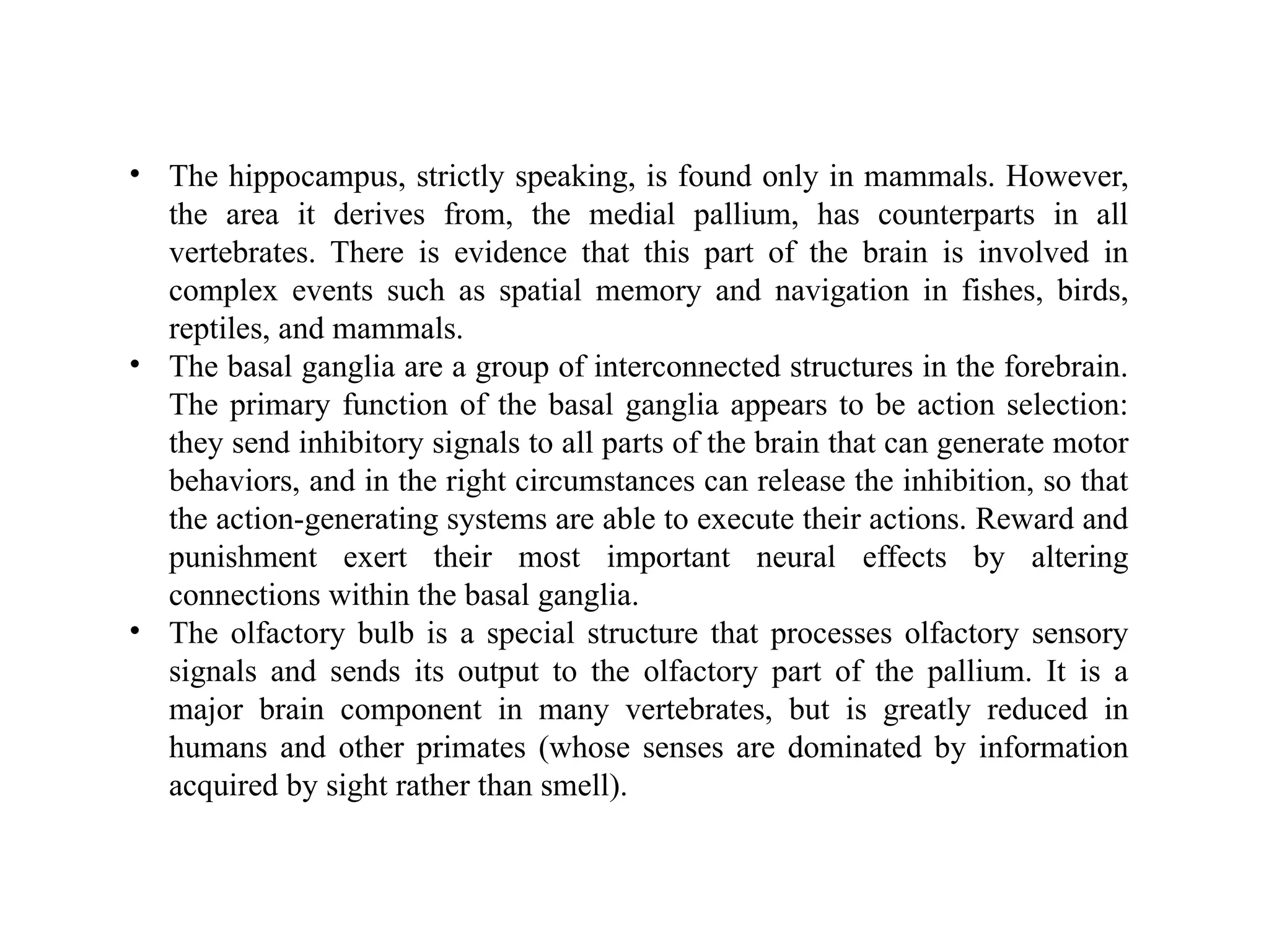 • The hippocampus, strictly speaking, is found only in mammals. However,
the area it derives from, the medial pallium, has counterparts in all
vertebrates. There is evidence that this part of the brain is involved in
complex events such as spatial memory and navigation in fishes, birds,
reptiles, and mammals.
• The basal ganglia are a group of interconnected structures in the forebrain.
The primary function of the basal ganglia appears to be action selection:
they send inhibitory signals to all parts of the brain that can generate motor
behaviors, and in the right circumstances can release the inhibition, so that
the action-generating systems are able to execute their actions. Reward and
punishment exert their most important neural effects by altering
connections within the basal ganglia.
• The olfactory bulb is a special structure that processes olfactory sensory
signals and sends its output to the olfactory part of the pallium. It is a
major brain component in many vertebrates, but is greatly reduced in
humans and other primates (whose senses are dominated by information
acquired by sight rather than smell).
 