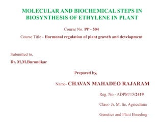 MOLECULAR AND BIOCHEMICAL STEPS IN
BIOSYNTHESIS OF ETHYLENE IN PLANT
Course No. PP - 504
Course Title - Hormonal regulation of plant growth and development
Submitted to,
Dr. M.M.Burondkar
Prepared by,
Name- CHAVAN MAHADEO RAJARAM
Reg. No.- ADPM/15/2419
Class- Jr. M. Sc. Agriculture
Genetics and Plant Breeding
 