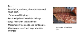 Zoonoses in wild animals presentation.pptx
