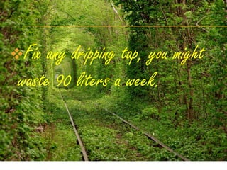 Fix  any dripping tap, you might
 waste 90 liters a week.
 