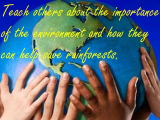 Teach others about the importance
of the environment and how they
can help save rainforests.
 