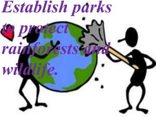 Establish parks
to protect
rainforests and
     .




wildlife.
 