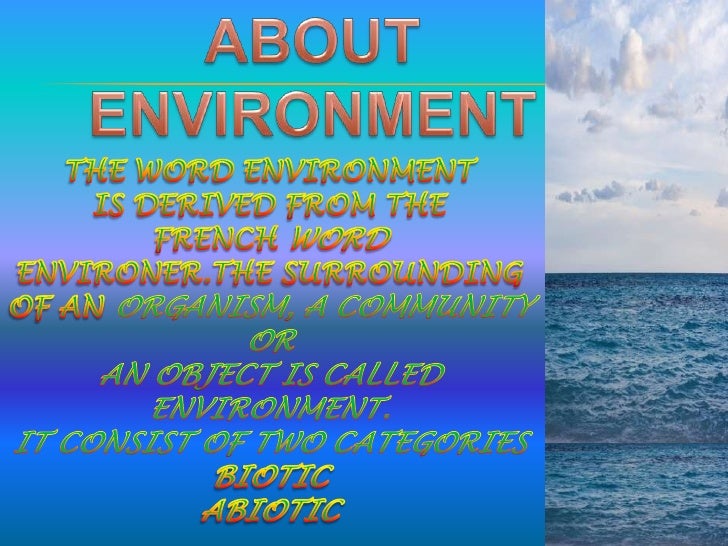 Steps to protect environment essay