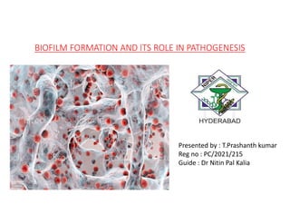 BIOFILM FORMATION AND ITS ROLE IN PATHOGENESIS
Presented by : T.Prashanth kumar
Reg no : PC/2021/215
Guide : Dr Nitin Pal Kalia
 