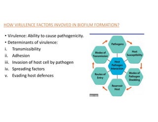 HOW VIRULENCE FACTORS INVOVED IN BIOFILM FORMATION?
• Virulence: Ability to cause pathogenicity.
• Determinants of virulence:
i. Transmissibility
ii. Adhesion
iii. Invasion of host cell by pathogen
iv. Spreading factors
v. Evading host defences
 