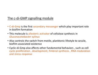 The c-di-GMP signalling module
• C-di-Gmp is the first secondary messenger which play important role
in biofilm formation
• This molecule is allosteric activator of cellulose synthesis in
Gluconacetobacter xylinus
• Also controls the switch from motile, planktonic lifestyle to sessile,
biofilm associated existence
• Cyclic-di-Gmp also affects other fundamental behaviors , such as cell
cycle proliferation , development, fimbrial synthesis , RNA modulation
and stress response
 