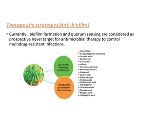 Therapeutic strategies(Anti-biofilm)
• Currently , biofilm formation and quorum sensing are considered as
prospective novel target for antimicrobial therapy to control
multidrug-resistant infections.
 