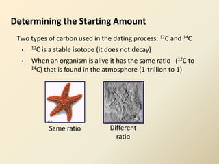 Determining the Starting Amount
Two types of carbon used in the dating process: 12C and 14C
• 12C is a stable isotope (it does not decay)
• When an organism is alive it has the same ratio (12C to
14C) that is found in the atmosphere (1-trillion to 1)
Same ratio Different
ratio
 