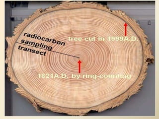 • Results of 14C dating are reported in radiocarbon years, and
calibration is needed to convert radiocarbon years into
calendar years
• Un-calibrated radiocarbon measurements are usually
reported in years BP where 0 (zero) BP is defined as AD 1950
• The most popular and often used method for calibration is by
dendrochronology.
Calibration
the age of a certain carbonaceous
sample can be easily determined by
comparing its radiocarbon content to
that of a tree ring with a known
calendar age.
If a sample has the same proportion
of radiocarbon as that of the tree
ring, it is safe to conclude that they
are of the same age.
 