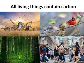 All living things contain carbon
 