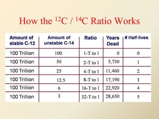 How the 12C / 14C Ratio Works
 