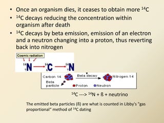• Once an organism dies, it ceases to obtain more 14C
• 14C decays reducing the concentration within
organism after death
...