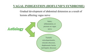 VAGAL INDIGESTION (HOFLUND’S SYNDROME)
Gradual development of abdominal distension as a result of
lesions affecting vagus nerve
Injury,
inflammation, or
pressure on vagus
nerve
Trumatic
reticuloperitonitis,
reticular abscesses,
diaphramatic hernia
and hepatic abscesses
 