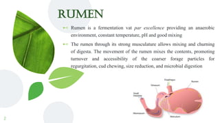 RUMEN
⊷ Rumen is a fermentation vat par excellence providing an anaerobic
environment, constant temperature, pH and good mixing
⊷ The rumen through its strong musculature allows mixing and churning
of digesta. The movement of the rumen mixes the contents, promoting
turnover and accessibility of the coarser forage particles for
regurgitation, cud chewing, size reduction, and microbial digestion
2
 