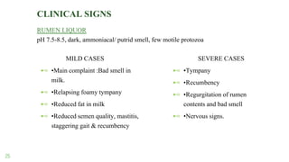 CLINICAL SIGNS
MILD CASES
⊷ •Main complaint :Bad smell in
milk.
⊷ •Relapsing foamy tympany
⊷ •Reduced fat in milk
⊷ •Reduced semen quality, mastitis,
staggering gait & recumbency
SEVERE CASES
⊷ •Tympany
⊷ •Recumbency
⊷ •Regurgitation of rumen
contents and bad smell
⊷ •Nervous signs.
25
RUMEN LIQUOR
pH 7.5-8.5, dark, ammoniacal/ putrid smell, few motile protozoa
 