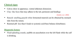 Clinical signs
• Calves show in appetence, ventral abdomen distension.
• Clay- like feces that may adhere to the tail, perineum and hindlegs
(Gentle et al .,2004)
• Rancid- smelling grayish white fermented material can be obtained by stomach
tube from the rumen.
• Ruminal pH less than 6 leads to systemic acid-base balance disturbance.
Diagnostic feature
• Fluid-splashing sounds, audible on auscultation over the left flank while the calf
is drinking.
 