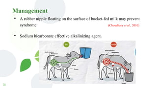 Management
30
• A rubber nipple floating on the surface of bucket-fed milk may prevent
syndrome (Choudhary et al., 2010)
• Sodium bicarbonate effective alkalinizing agent.
 