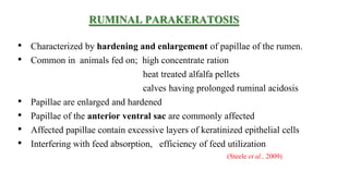 RUMINAL PARAKERATOSIS
• Characterized by hardening and enlargement of papillae of the rumen.
• Common in animals fed on; high concentrate ration
heat treated alfalfa pellets
calves having prolonged ruminal acidosis
• Papillae are enlarged and hardened
• Papillae of the anterior ventral sac are commonly affected
• Affected papillae contain excessive layers of keratinized epithelial cells
• Interfering with feed absorption, efficiency of feed utilization
(Steele et al., 2009)
 