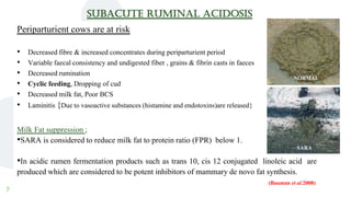 7
SUBACUTE RUMINAL ACIDOSIS
Periparturient cows are at risk
• Decreased fibre & increased concentrates during periparturient period
• Variable faecal consistency and undigested fiber , grains & fibrin casts in faeces
• Decreased rumination
• Cyclic feeding, Dropping of cud
• Decreased milk fat, Poor BCS
• Laminitis {Due to vasoactive substances (histamine and endotoxins)are released}
Milk Fat suppression ;
•SARA is considered to reduce milk fat to protein ratio (FPR) below 1.
•In acidic rumen fermentation products such as trans 10, cis 12 conjugated linoleic acid are
produced which are considered to be potent inhibitors of mammary de novo fat synthesis.
(Bauman et al.2008)
NORMAL
SARA
 