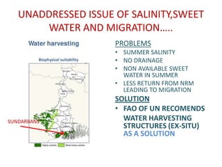 UNADDRESSED ISSUE OF SALINITY,SWEET
       WATER AND MIGRATION…..
                     PROBLEMS
                     • SUMMER SALINITY
                     • NO DRAINAGE
                     • NON AVAILABLE SWEET
                       WATER IN SUMMER
                     • LESS RETURN FROM NRM
                       LEADING TO MIGRATION
                     SOLUTION
                     • FAO OF UN RECOMENDS
SUNDARBANS             WATER HARVESTING
                       STRUCTURES (EX-SITU)
                       AS A SOLUTION
 