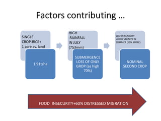 Factors contributing …
                        HIGH
                                             WATER SCARCITY
SINGLE                   RAINFALL            +HIGH SALINITY IN
CROP-RICE+              IN JULY              SUMMER (50% MORE)
1 acre av. land         (753mm)

                           SUBMERGENCE
                            LOSS OF ONLY            NOMINAL
       1.91t/ha
                            GROP (as high         SECOND CROP
                                70%)




           FOOD INSECURITY+60% DISTRESSED MIGRATION
 