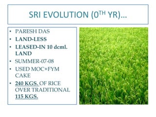 SRI EVOLUTION (0TH YR)…
• PARESH DAS
• LAND-LESS
• LEASED-IN 10 dcml.
  LAND
• SUMMER-07-08
• USED MOC+FYM
  CAKE
• 240 KGS. OF RICE
  OVER TRADITIONAL
  115 KGS.
 