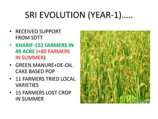 SRI EVOLUTION (YEAR-1)…..
• RECEIVED SUPPORT
  FROM SDTT
• KHARIF-152 FARMERS IN
  49 ACRE (+80 FARMERS
  IN SUMMER)
• GREEN MANURE+DE-OIL
  CAKE BASED POP
• 11 FARMERS TRIED LOCAL
  VARIETIES
• 15 FARMERS LOST CROP
  IN SUMMER
 