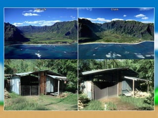 Neue Entwicklungen

• Prozessorleistung gedeckelt

• Grafikwünsche gesättigt

• Längerer Konsolenzyklus

• Fortsetzungen nicht länger Allheilrezept
 