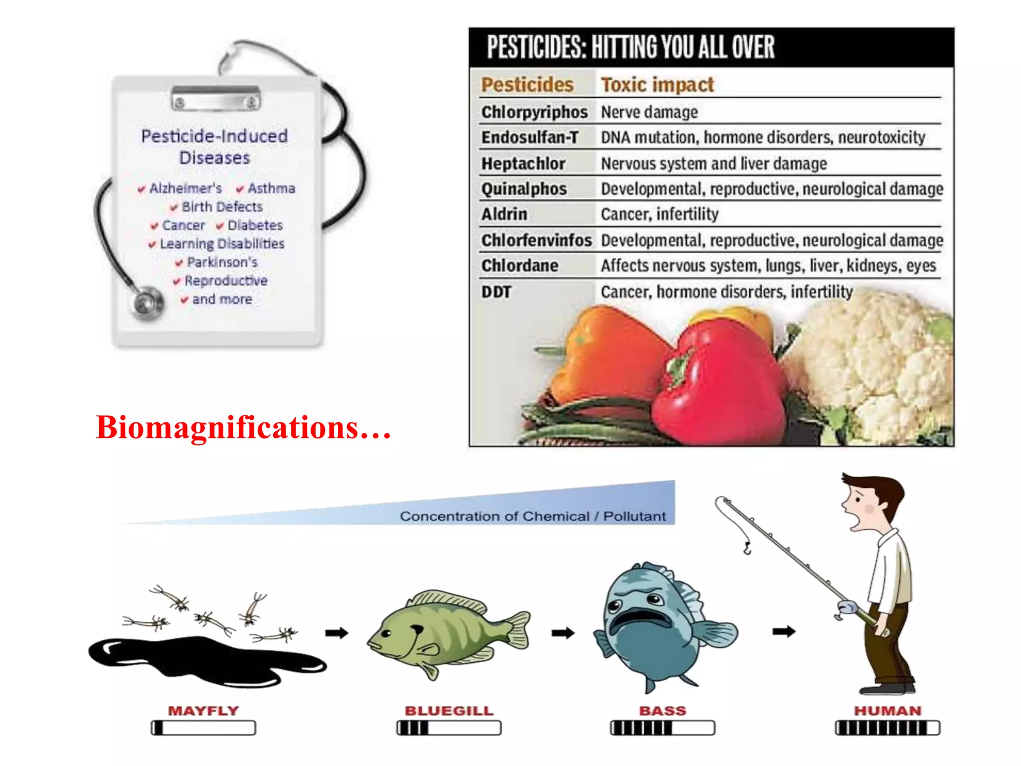 Biomagnifications…
 