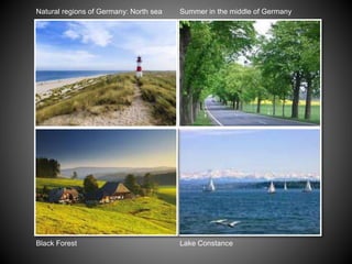 Black Forest
Natural regions of Germany: North sea Summer in the middle of Germany
Lake Constance
 