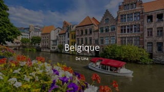 Belgique
De Lina
 