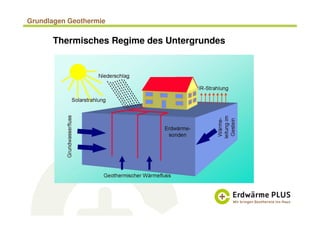 Grundlagen Geothermie
Thermisches Regime des Untergrundes
 