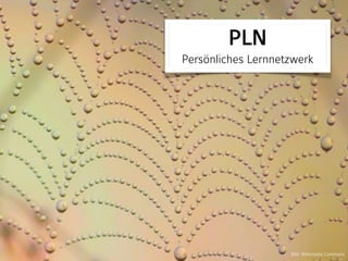 Bild: Wikimedia Commons
PLN 
Persönliches Lernnetzwerk
 