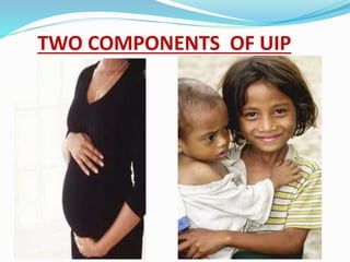 TWO COMPONENTS OF UIP
 