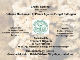 Credit Seminar
MBB 591 (0+1)
On
Defence Mechanism In Plants Against Fungal Pathogen
Submitted to
Dr. Sushma Nema
Assistant Professor & Seminar
In-charge
Advisor
Dr. Keerti Tantwai
Assistant Professor
Biotechnology Centre
Submitted By
Prashant Gigaulia
ID No: 170117007
M.Sc.(Ag) Molecular Biology and Biotechnology
Biotechnology Centre
Jawaharlal Nehru Krishi Vishwa Vidyalaya, Jabalpur
 