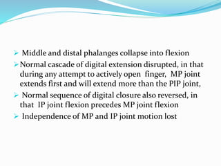  Middle and distal phalanges collapse into flexion
Normal cascade of digital extension disrupted, in that
during any attempt to actively open finger, MP joint
extends first and will extend more than the PIP joint,
 Normal sequence of digital closure also reversed, in
that IP joint flexion precedes MP joint flexion
 Independence of MP and IP joint motion lost
 