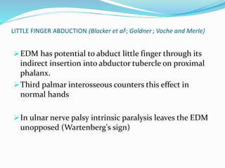 LITTLE FINGER ABDUCTION (Blacker et al[; Goldner ; Voche and Merle)
EDM has potential to abduct little finger through its
indirect insertion into abductor tubercle on proximal
phalanx.
Third palmar interosseous counters this effect in
normal hands
In ulnar nerve palsy intrinsic paralysis leaves the EDM
unopposed (Wartenberg's sign)
 