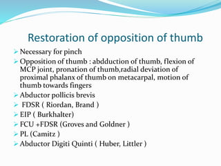 Restoration of opposition of thumb
 Necessary for pinch
 Opposition of thumb : abdduction of thumb, flexion of
MCP joint, pronation of thumb,radial deviation of
proximal phalanx of thumb on metacarpal, motion of
thumb towards fingers
 Abductor pollicis brevis
 FDSR ( Riordan, Brand )
 EIP ( Burkhalter)
 FCU +FDSR (Groves and Goldner )
 PL (Camitz )
 Abductor Digiti Quinti ( Huber, Littler )
 