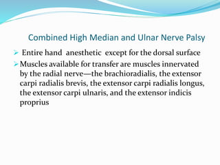 Combined High Median and Ulnar Nerve Palsy
 Entire hand anesthetic except for the dorsal surface
Muscles available for transfer are muscles innervated
by the radial nerve—the brachioradialis, the extensor
carpi radialis brevis, the extensor carpi radialis longus,
the extensor carpi ulnaris, and the extensor indicis
proprius
 