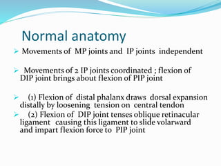 Normal anatomy
 Movements of MP joints and IP joints independent
 Movements of 2 IP joints coordinated ; flexion of
DIP joint brings about flexion of PIP joint
 (1) Flexion of distal phalanx draws dorsal expansion
distally by loosening tension on central tendon
 (2) Flexion of DIP joint tenses oblique retinacular
ligament causing this ligament to slide volarward
and impart flexion force to PIP joint
 