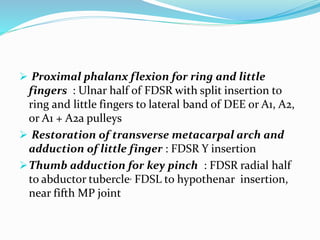  Proximal phalanx flexion for ring and little
fingers : Ulnar half of FDSR with split insertion to
ring and little fingers to lateral band of DEE or A1, A2,
or A1 + A2a pulleys
 Restoration of transverse metacarpal arch and
adduction of little finger : FDSR Y insertion
Thumb adduction for key pinch : FDSR radial half
to abductor tubercle, FDSL to hypothenar insertion,
near fifth MP joint
 