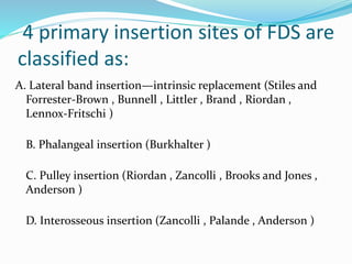 4 primary insertion sites of FDS are
classified as:
A. Lateral band insertion—intrinsic replacement (Stiles and
Forrester-Brown , Bunnell , Littler , Brand , Riordan ,
Lennox-Fritschi )
B. Phalangeal insertion (Burkhalter )
C. Pulley insertion (Riordan , Zancolli , Brooks and Jones ,
Anderson )
D. Interosseous insertion (Zancolli , Palande , Anderson )
 