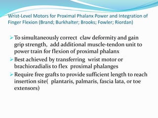 Wrist-Level Motors for Proximal Phalanx Power and Integration of
Finger Flexion (Brand; Burkhalter; Brooks; Fowler; Riordan)
To simultaneously correct claw deformity and gain
grip strength, add additional muscle-tendon unit to
power train for flexion of proximal phalanx
Best achieved by transferring wrist motor or
brachioradialis to flex proximal phalanges
Require free grafts to provide sufficient length to reach
insertion site( plantaris, palmaris, fascia lata, or toe
extensors)
 